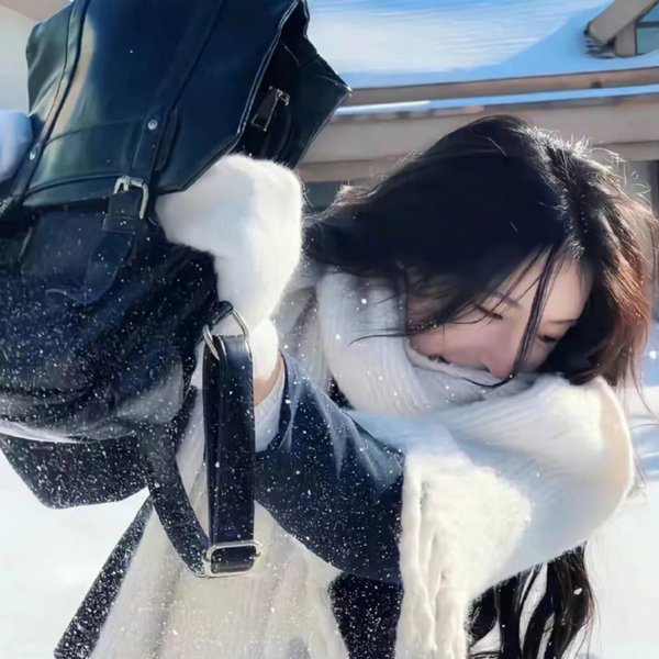 凤阁春残